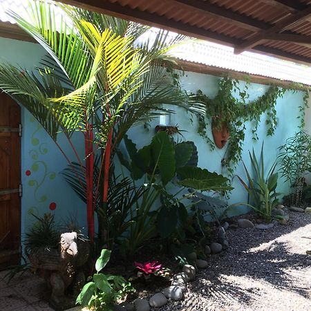 Sueno Grande B&B Puerto Viejo de Talamanca Экстерьер фото